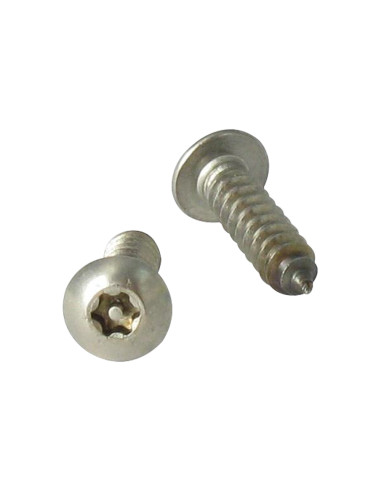 1 x Vite Per Lamiera Di Sicurezza Acciaio Inox...