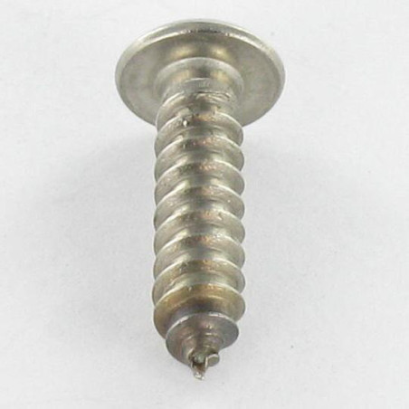 1 x Vite Per Lamiera Di Sicurezza Acciaio Inox A2 Testa Cilindrica T25 con perno 4.8X25