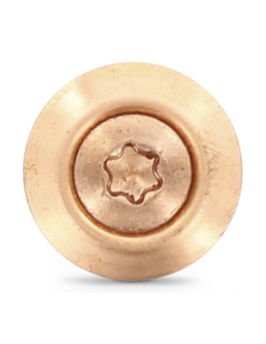 1 x Vite di cresta Testa Forata Bombata T20...