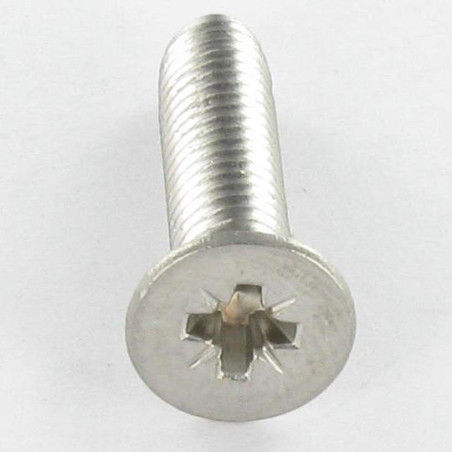1 x Vite Autofilettante Acciaio Inox A2 Testa Forata Pozi PZ5 M4X16