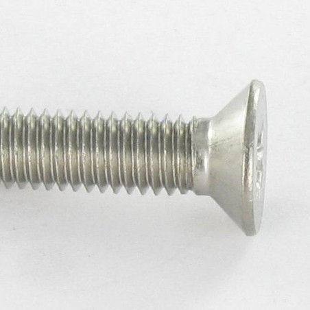 1 x Vite Autofilettante Acciaio Inox A2 Testa Forata Pozi PZ5 M4X16