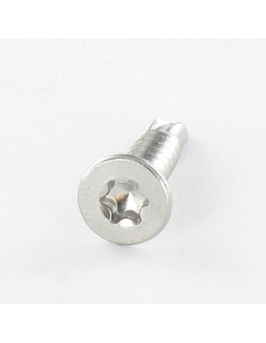 1 x Vite Autoperforante Acciaio Inox A2 Testa...