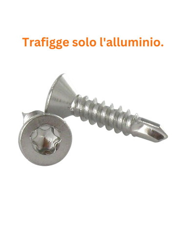 1 x Vite Autoperforante Acciaio Inox A2 Testa...