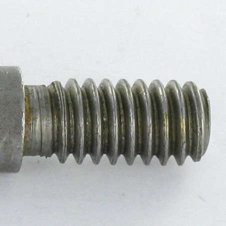 1 x Asta Zincate lungo M8X60 Passo 150