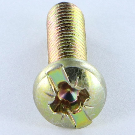 1 x Vite Per Metalli Testa Cilindrica Bombata Pozy Con Intaglio M4X16 Diametro Della Testa: 7 Bicromato