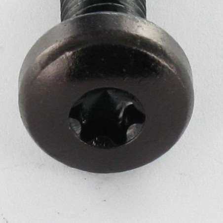 1 x Vite Per Metalli testa bombata larga T30 M6X10 Acciaio Zincato Nero