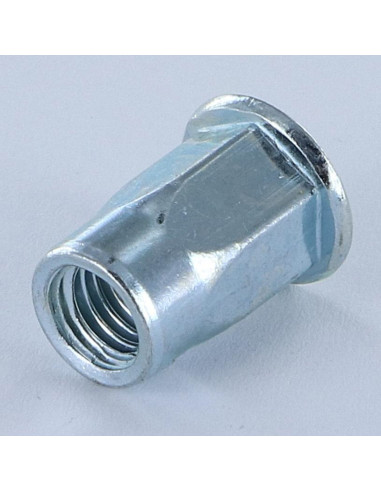 1 x Dadi Rivettabili Testa Piatta M10X23 GOFIX...