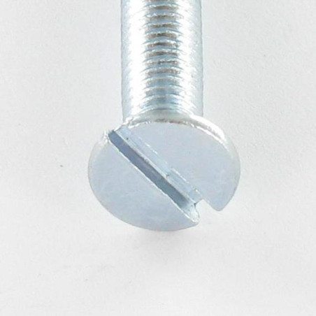 1 x Vite Per Metalli Testa Forata Con Intaglio M5X20 Zincate