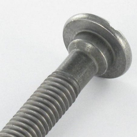 1 x Vite Per Metalli Testa Cilindrica Larga Con Intaglio M6X45 Dentellato Acciaio Grezzo