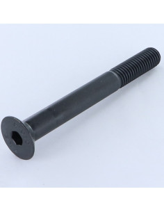 Vite Per Metalli Testa Forata Con Esagono Incassato M5X55...