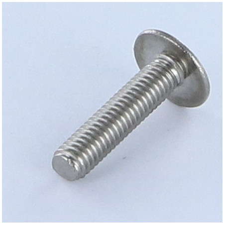 1 x Vite Testa Poelier Larga Con Intaglio Acciaio Inox A2 M5X20