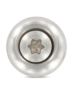Vite di cresta Testa Forata Bombata T20 Acciaio Inox A2... 2