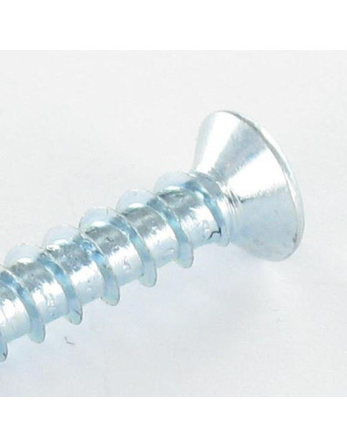 1 x Vite Per Pvc TRILOBO Testa Forata Pozy 5X30...