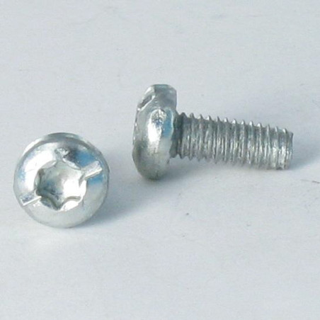 1 x Vite Autofilettante Testa Cilindrica Torx Filettata Su Con Intaglio 4X10 Dentellato Zincate