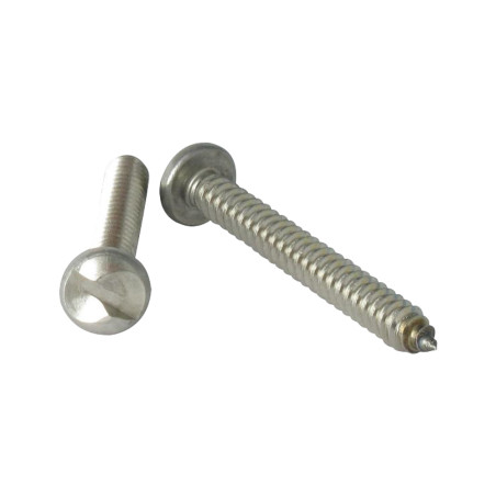 1 x Vite Per Lamiera Di Sicurezza Testa Cilindrica ONE WAY 2,9X19 Acciaio Inox A2