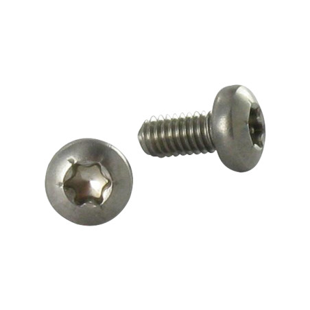 1 x Vite Autofilettante Acciaio Inox A2 Testa Cilindrica Bombata Torx 4X8 T20