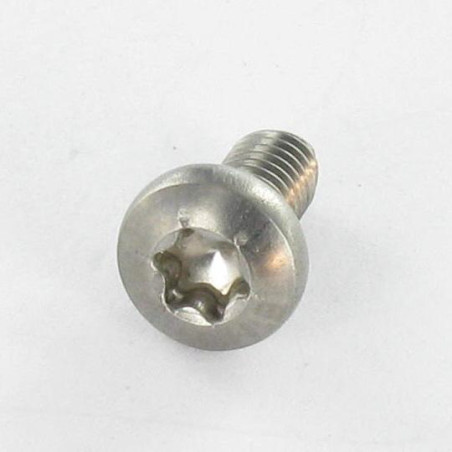 1 x Vite Autofilettante Acciaio Inox A2 Testa Cilindrica Bombata Torx 4X8 T20