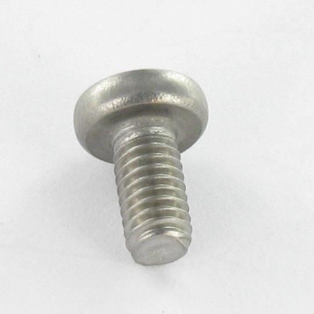 1 x Vite Autofilettante Acciaio Inox A2 Testa Cilindrica Bombata Torx 4X8 T20