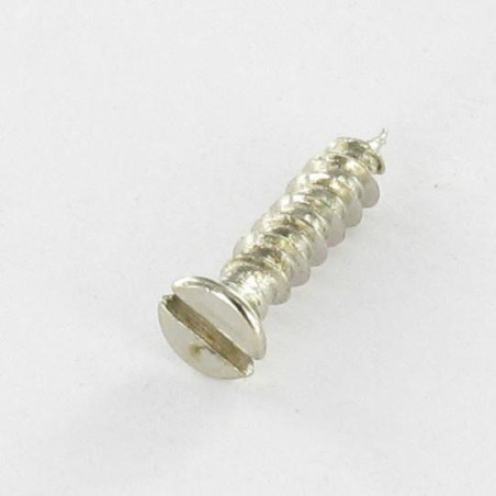 1 x Vite Per Legno E Truciolato Testa Forata Con Intaglio 3X14 Diametro Della Testa: 5 Acciaio Nichel microviti
