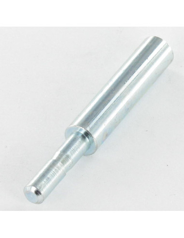 1 x Asta PERNO 8X55 Zincate