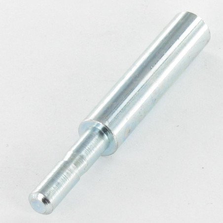 1 x Asta PERNO 8X55 Zincate