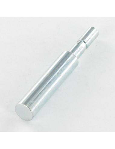 1 x Asta PERNO 8X55 Zincate