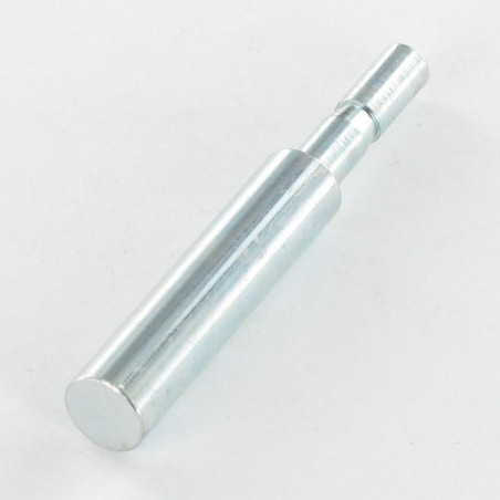 1 x Asta PERNO 8X55 Zincate
