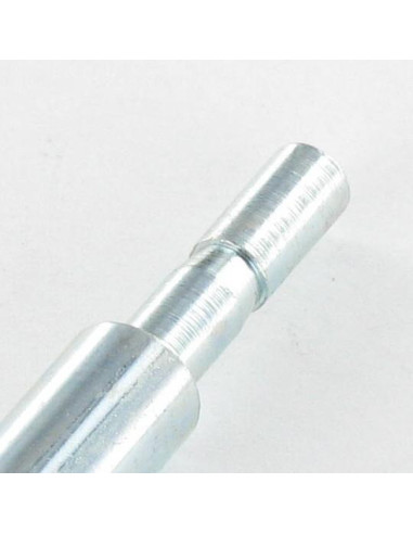 1 x Asta PERNO 8X55 Zincate