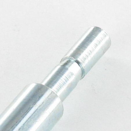 1 x Asta PERNO 8X55 Zincate