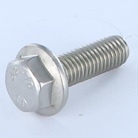 1 x Vite Per Metalli Testa Esagonale Flangia Liscia M10X20 Acciaio Inox A2