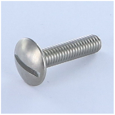 1 x Vite Testa Poelier Larga Con Intaglio Acciaio Inox A2 M6X12