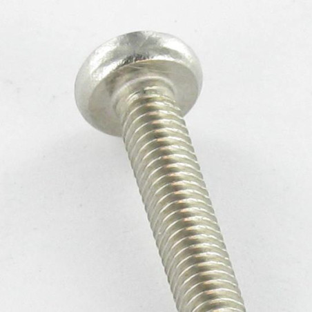1 x Vite Autofilettante Testa Cilindrica Bombata M6X25 Pozi PZ6 Acciaio Inox A2