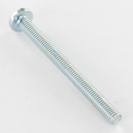 1 x Vite Per Metalli Testa Cilindrica Larga Con Intaglio M6X12 Zincate