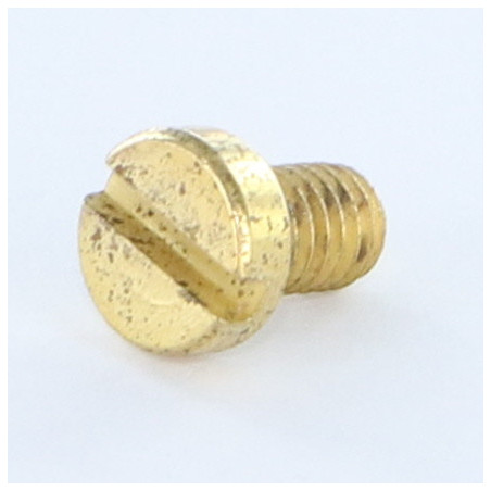 1 x Vite Per Metalli Testa Cilindrica Con Intaglio M4X6 Acciaio Ottonato