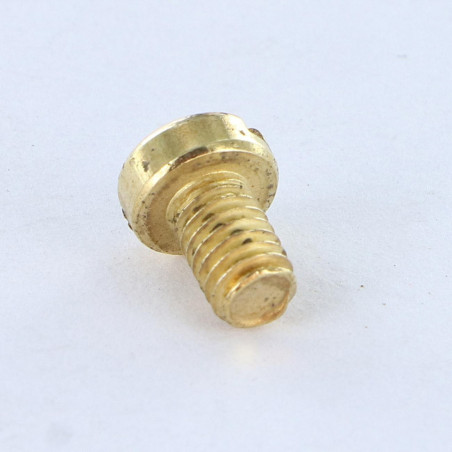 1 x Vite Per Metalli Testa Cilindrica Con Intaglio M4X6 Acciaio Ottonato