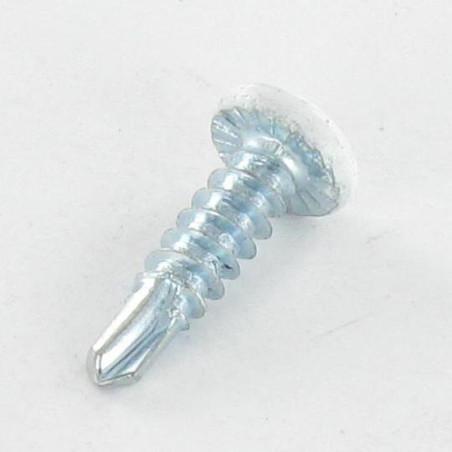 1 x Vite Autoperforante Testa Cilindrica Bombata Phillips 4,2 x 16 Zincate Laccato Bianco 9016