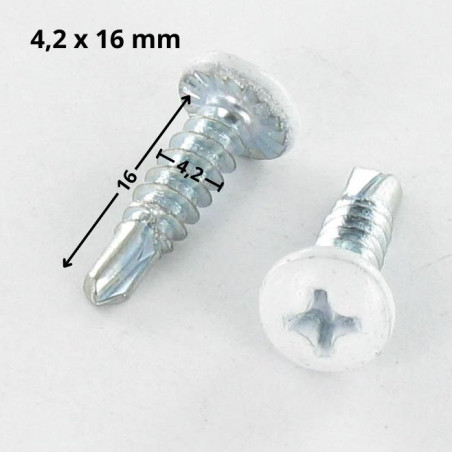 1 x Vite Autoperforante Testa Cilindrica Bombata Phillips 4,2 x 16 Zincate Laccato Bianco 9016