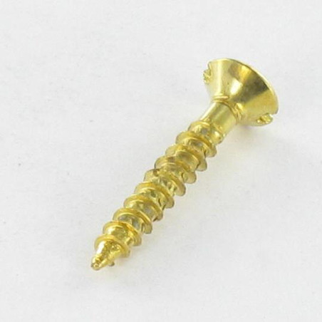 1 x Vite Per Legno E Truciolato Testa Forata Con Intaglio 3X20 Acciaio Ottonato microviti