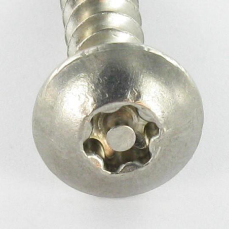 1 x Vite Bandella Di Sicurezza T30 con perno 6X30 Acciaio Inox A2