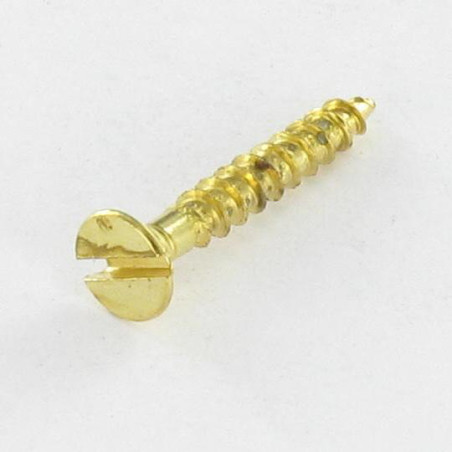 1 x Vite Per Legno E Truciolato Testa Forata Con Intaglio 3X17 Acciaio Ottonato microviti
