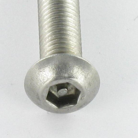 1 x Vite Per Metalli Di Sicurezza Bei (Testa Bombata Esagono Incassato) con perno M5X20 Acciaio Inox A2