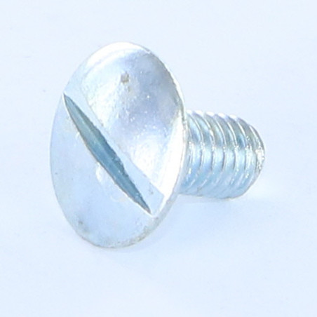 1 x Vite Per Metalli Testa Bombata Con Intaglio Flangia Dentellata M6X10 Classe 8.8 Zincate