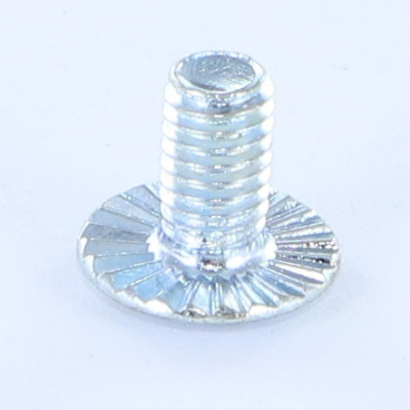 1 x Vite Per Metalli Testa Bombata Con Intaglio Flangia Dentellata M6X10 Classe 8.8 Zincate