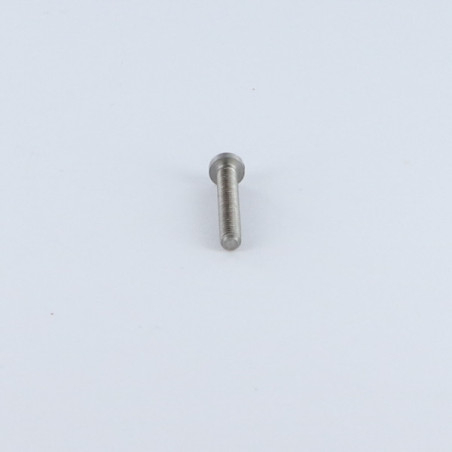 1 x Vite Per Metalli testa bombata larga Con Intaglio M2.5X16 Acciaio Grezzo microviti
