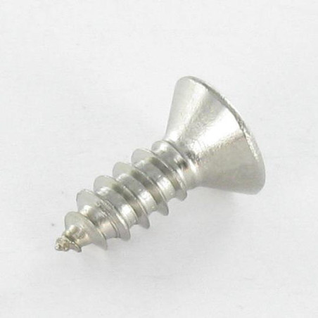 1 x Vite Per Lamiera Testa Forata Quadrato 4,8 x 38 Ingombro quadrato 2 Acciaio Inox A2