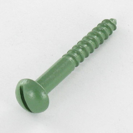 1 x Viti Per Legno Testa Poelier Con Intaglio 4X30 Zincate LAQ Verde Ral6011 Verde Reseda