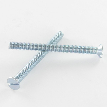 1 x Vite Per Metalli Testa Forata Con Intaglio M3X25 Zincate microviti