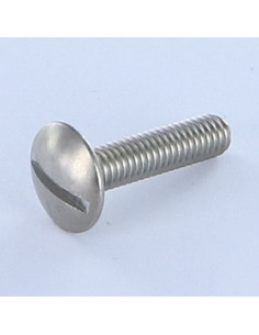 Vite Testa Poelier Larga Con Intaglio Acciaio Inox A2 M8X16