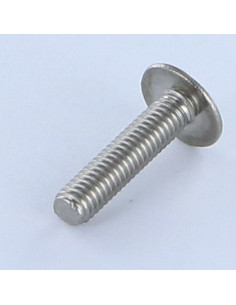 Vite Testa Poelier Larga Con Intaglio Acciaio Inox A2 M8X16 2