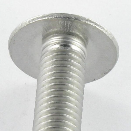 1 x Vite Testa Poelier Larga Con Intaglio Acciaio Inox A2 M8X16